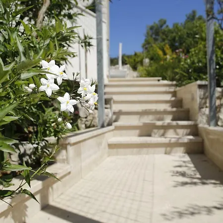 Villa Brdar